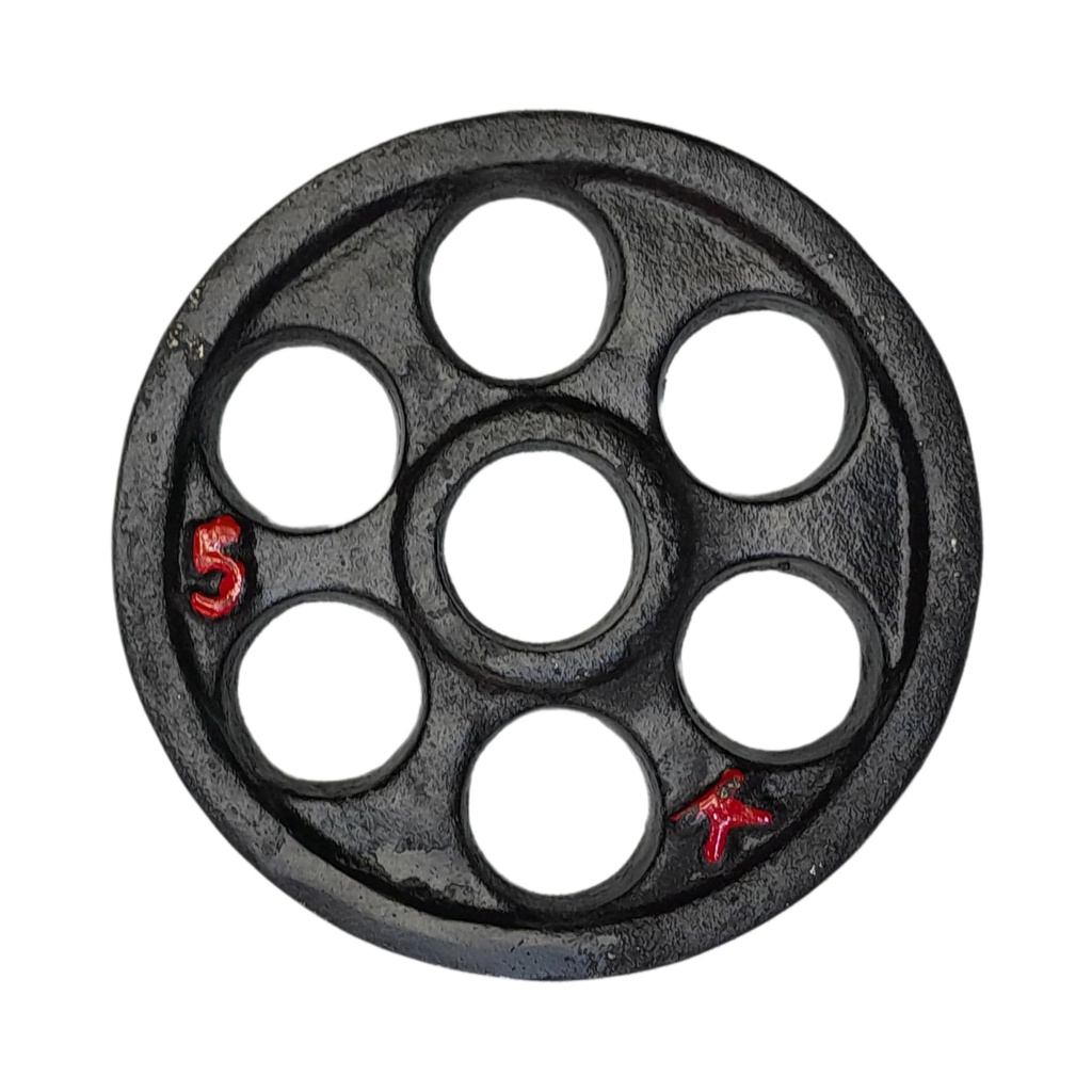 DISCOS OLIMPICO 5KG HIERRO