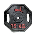 DISCOS 15KG HIERRO