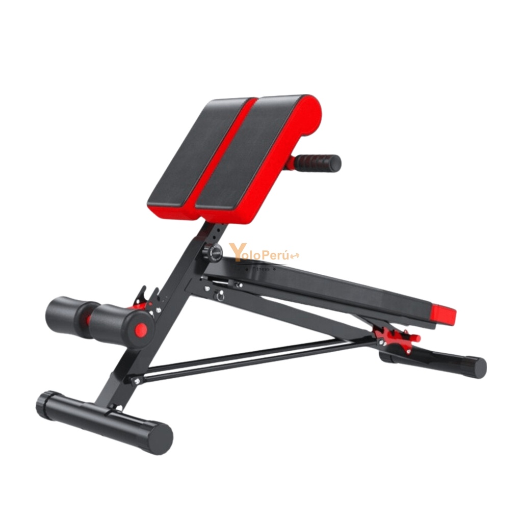 BANCA ABDOMINAL ROMANA