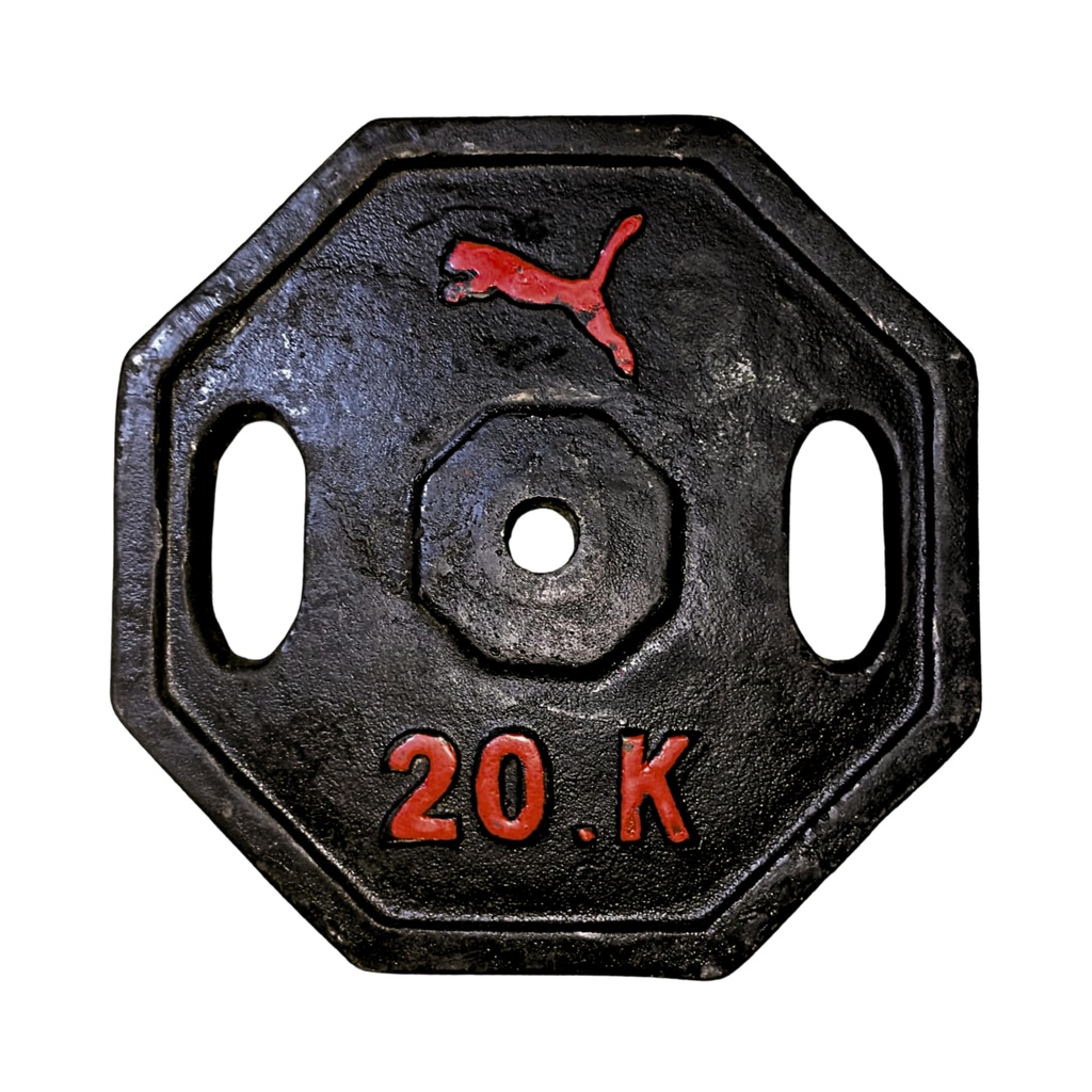 DISCOS 20KG HIERRO