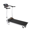 TROTADORA ELECTRICA 500W