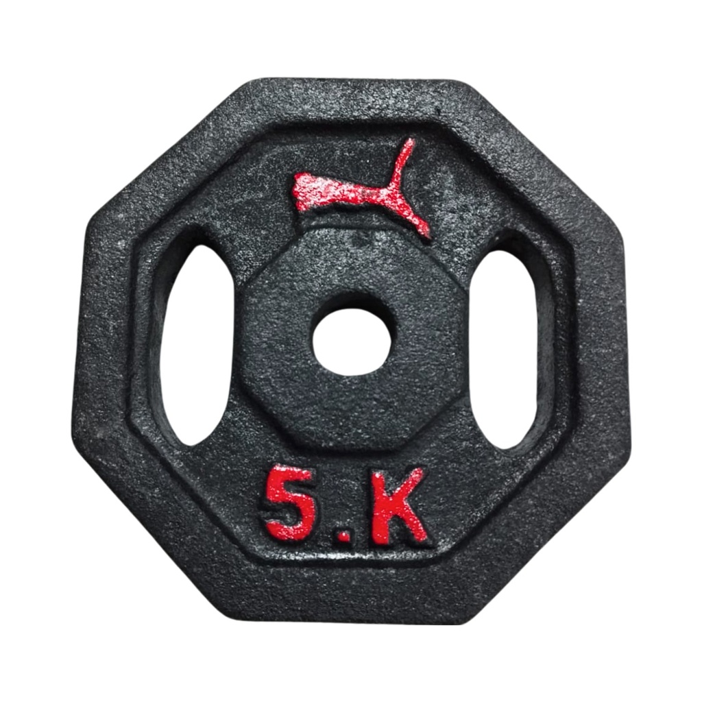 DISCOS 5KG HIERRO