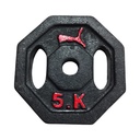 DISCOS 5KG HIERRO