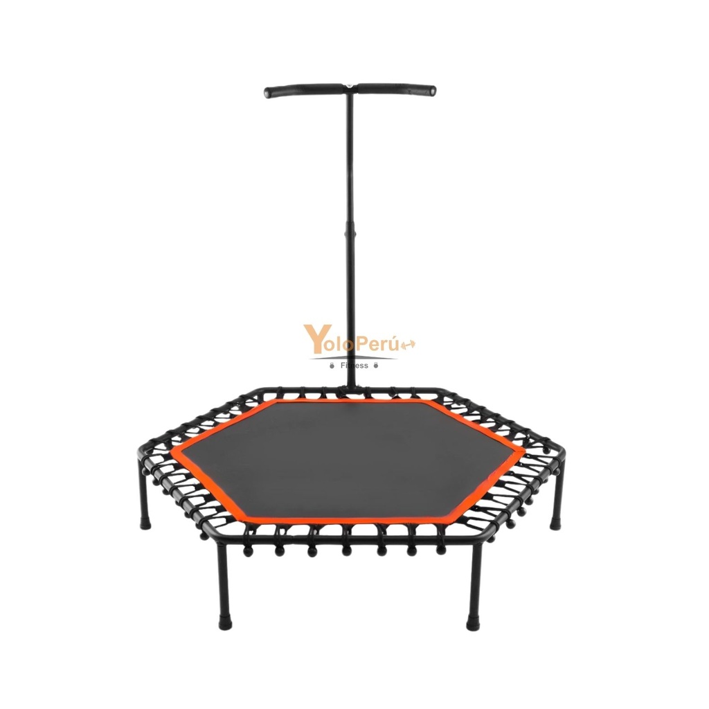 TRAMPOLIN CON SOPORTE 100CM X 135CM REAL FITNESS