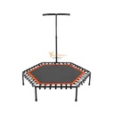 TRAMPOLIN CON SOPORTE 100CM X 135CM REAL FITNESS